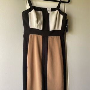 Black and Tan dress